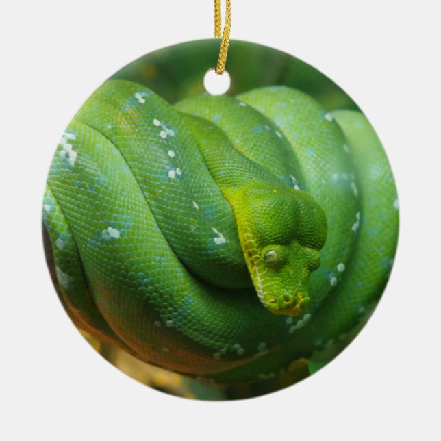 Adorno De Cerámica Serpiente Python de árbol verde (Frente)