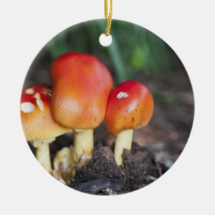 Adorno De Cerámica Setas familiares de Amanita