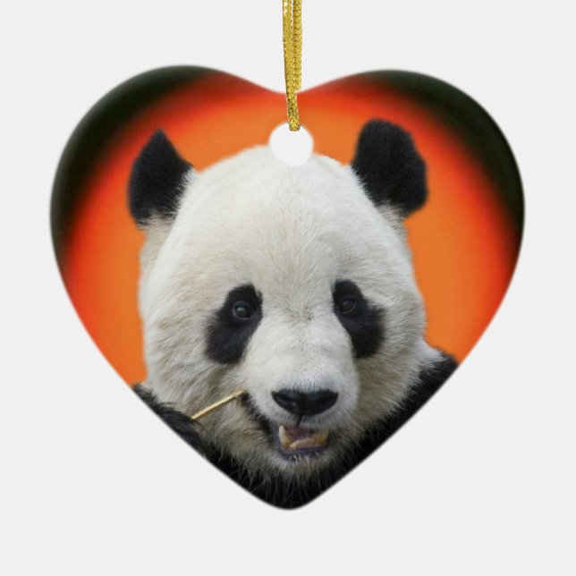 ADORNO DE CERÁMICA SHAN DEL TAI (Frente)