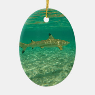 Adorno De Cerámica Shark in bora bora