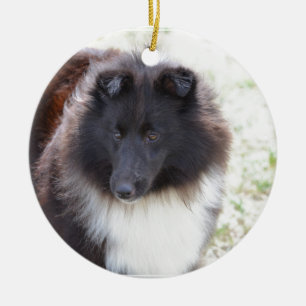 Adorno De Cerámica Sheltie blanco y negro