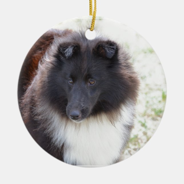 Adorno De Cerámica Sheltie blanco y negro (Frente)