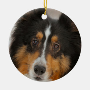 Adorno De Cerámica Shelty