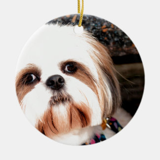 Adorno De Cerámica Shih Tzu