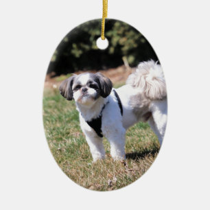 Adorno De Cerámica Shih Tzu