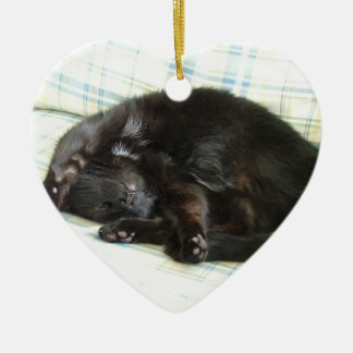 Adorno De Cerámica siesta del gato