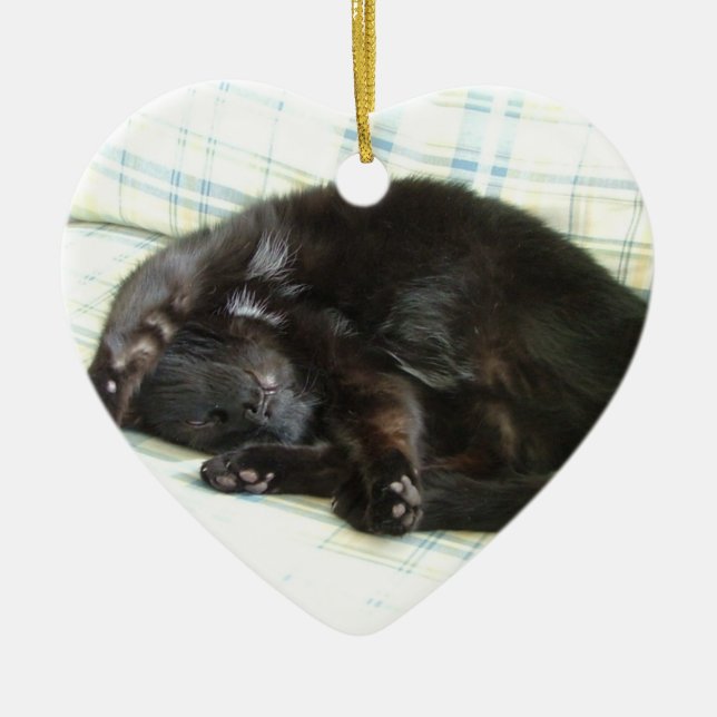 Adorno De Cerámica siesta del gato (Frente)