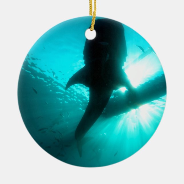 Adorno De Cerámica Silueta de tiburón ballena (Frente)