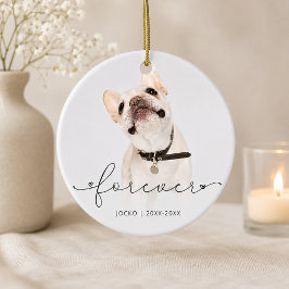 Adorno De Cerámica Simple Script Personalizado Memorial de Mascota Fo