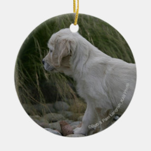 Adorno De Cerámica Situación del perrito del golden retriever
