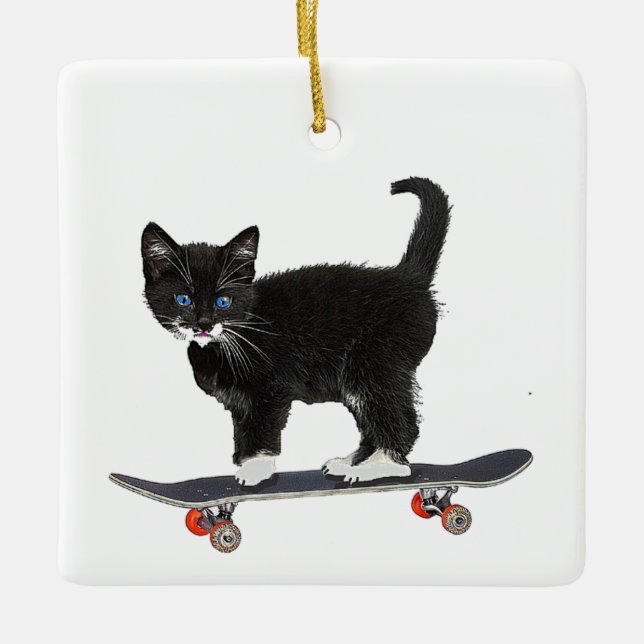 Adorno De Cerámica Skateboard Cat (Anverso)