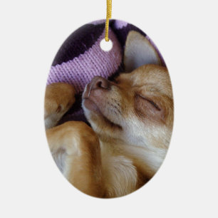 Adorno De Cerámica Sleeping Chihuahua