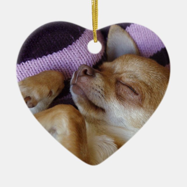 Adorno De Cerámica Sleeping Chihuahua (Frente)