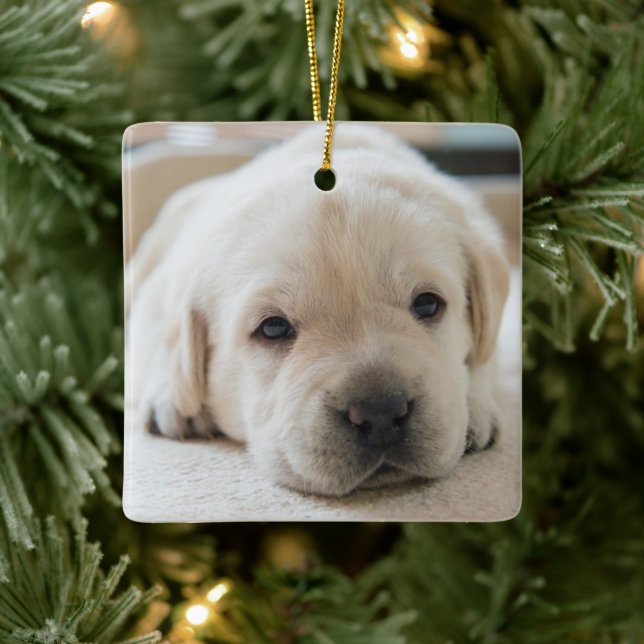 Adorno De Cerámica Sleepy Golden Labrador Puppy (Árbol)