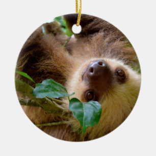 Adorno De Cerámica Sloth & Capybara