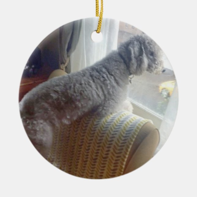 Adorno De Cerámica Smokey (Frente)