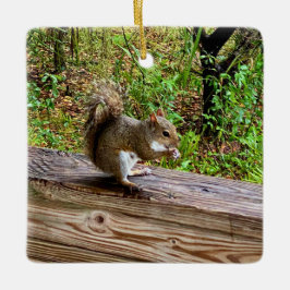 Adorno De Cerámica Snack Attack