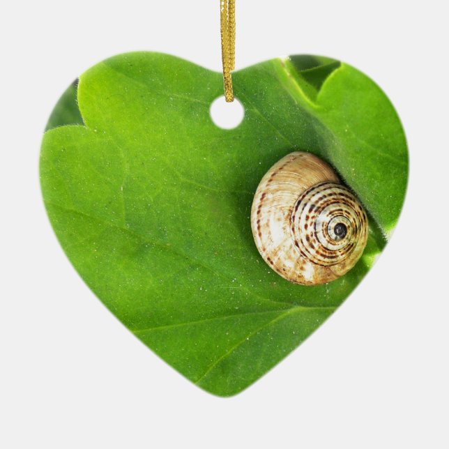 Adorno De Cerámica snail (Frente)