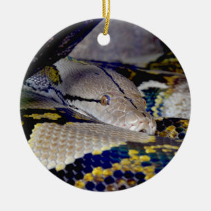 Adorno De Cerámica Snake Python reticulado