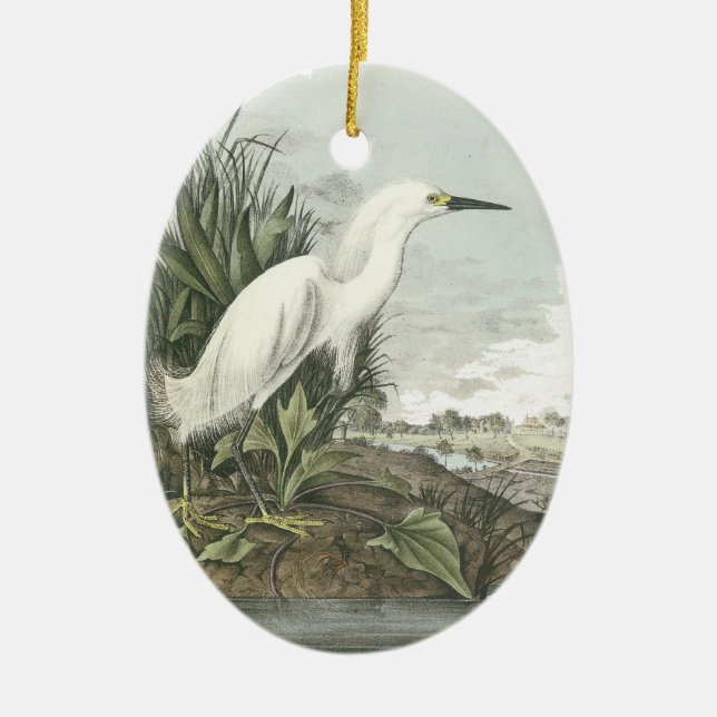 Adorno De Cerámica Snowy Egret, John Audubon (Frente)