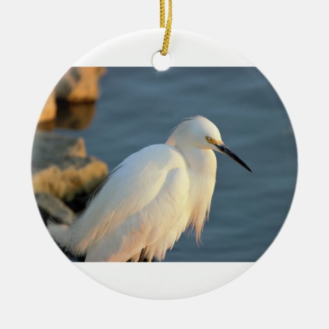 Adorno De Cerámica Snowy Egret Photo (Frente)