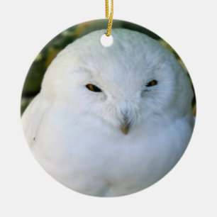 Adorno De Cerámica Snowy Owl