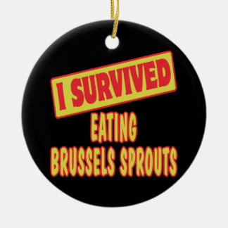 ADORNO DE CERÁMICA SOBREVIVIÍ COMIENDO BRUSELAS.