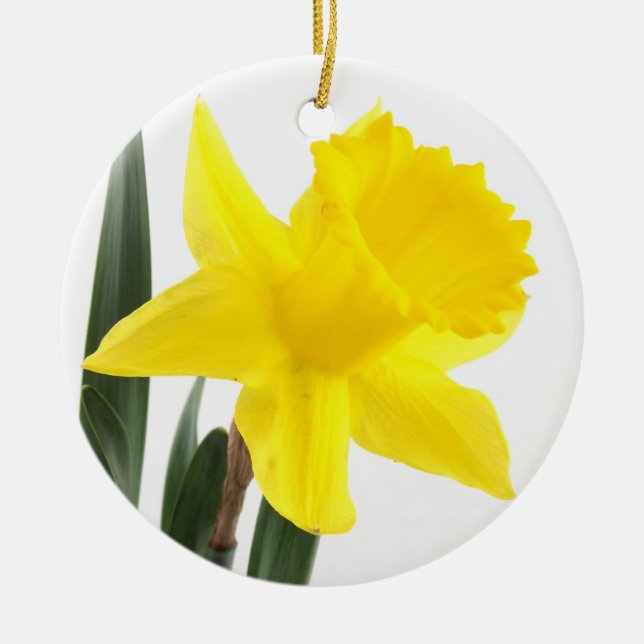 Adorno De Cerámica Solo narciso amarillo del narciso (Frente)