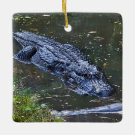 Adorno De Cerámica Sombra en las aguas poco profundas