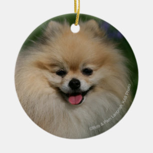 Adorno De Cerámica Sonrisa de Pomeranian