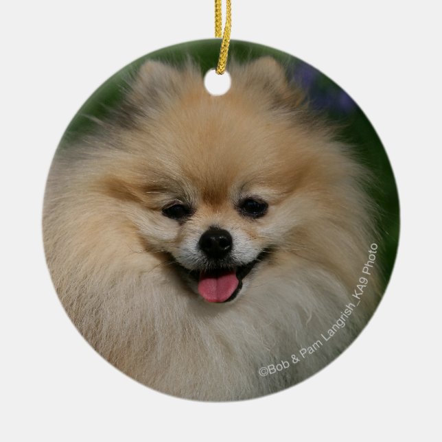 Adorno De Cerámica Sonrisa de Pomeranian (Frente)