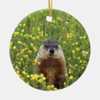 Adorno De Cerámica Soy Groundhog