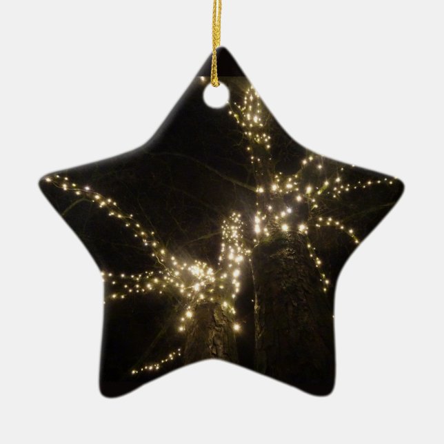 Adorno De Cerámica Sparkling Outdoor Tree Lights Star Ornament (Frente)