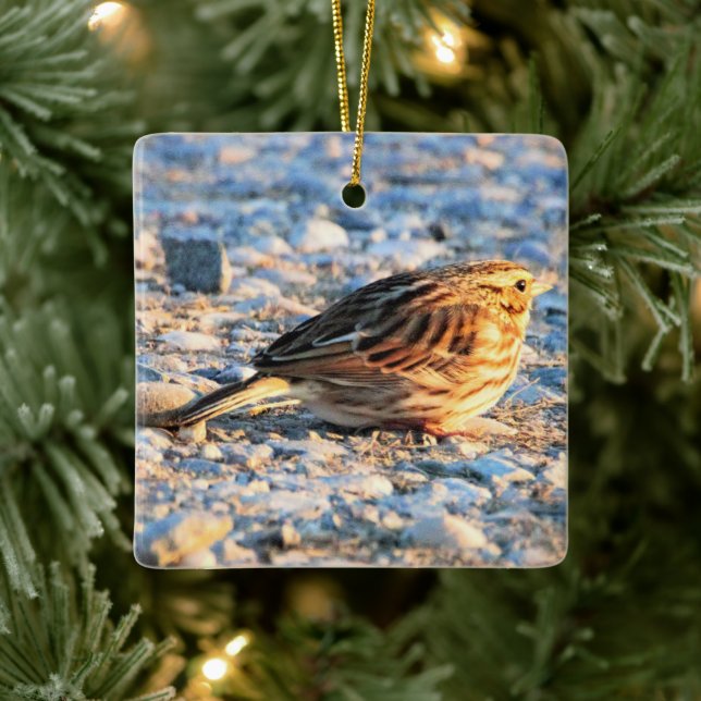 Adorno De Cerámica Sparrow Bird (Árbol)