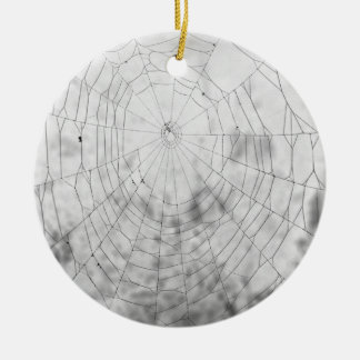 Adorno De Cerámica Spider web
