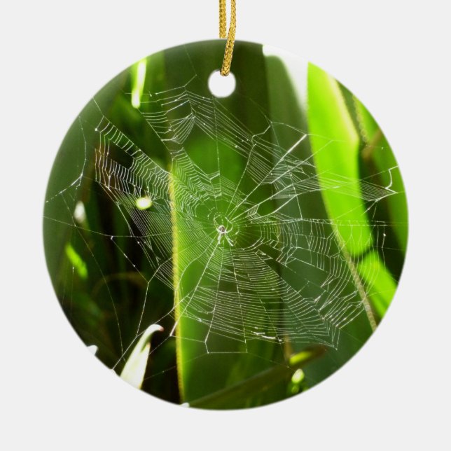 Adorno De Cerámica Spiderweb en la naturaleza de las hojas tropicales (Frente)