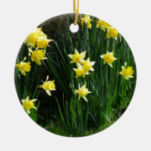 Adorno De Cerámica Spring Daffodils