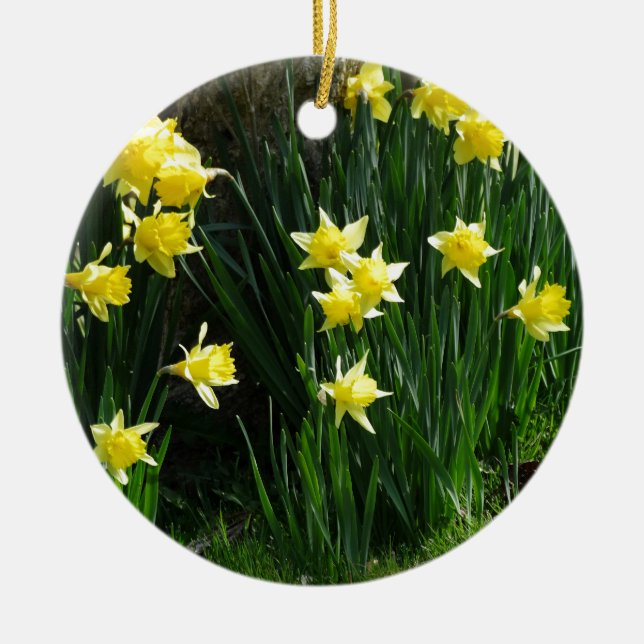 Adorno De Cerámica Spring Daffodils (Frente)