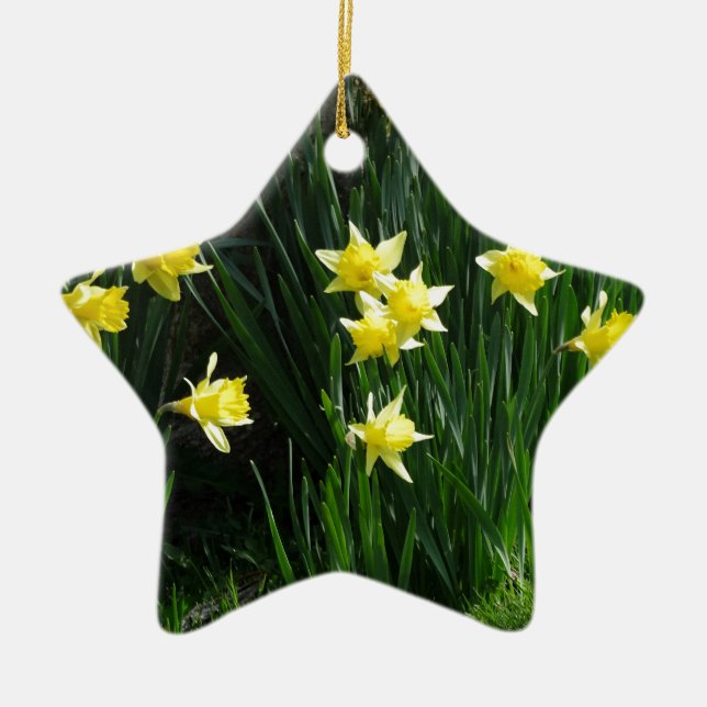 Adorno De Cerámica Spring Daffodils (Frente)