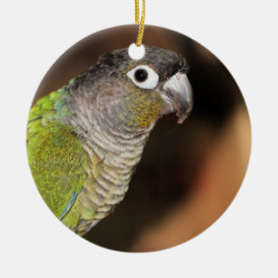 Adorno De Cerámica Sr. Oliver