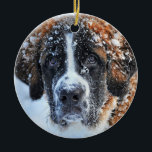 Adorno De Cerámica St Bernard in the Snow<br><div class="desc">Please visit my store for more interesting design and more color choice.
=> zazzle.com/colorfulworld*</div>