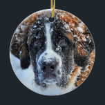 Adorno De Cerámica St Bernard in the Snow<br><div class="desc">Please visit my store for more interesting design and more color choice.
=> zazzle.com/colorfulworld*</div>