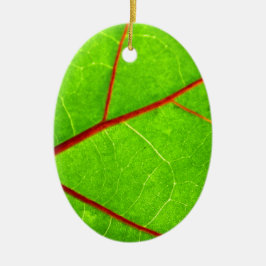 Adorno De Cerámica St Thomas 1