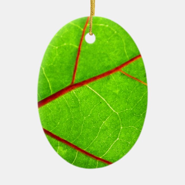 Adorno De Cerámica St Thomas 1 (Frente)