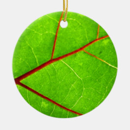 Adorno De Cerámica St Thomas 1