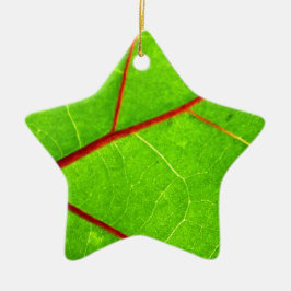 Adorno De Cerámica St Thomas 1