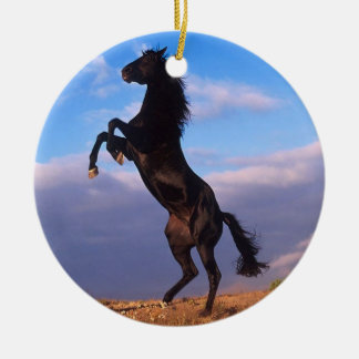 Adorno De Cerámica Stallion negro