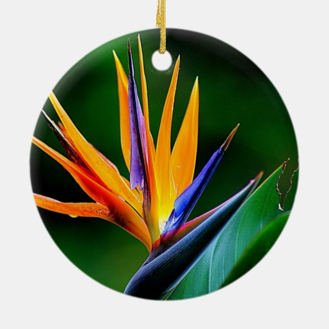 Adorno De Cerámica Strelitzia. Flor de la ave del paraíso (Atrás)