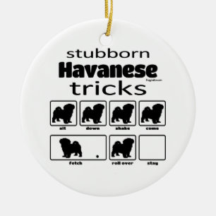 Adorno De Cerámica Stubborn Havanese Tricks