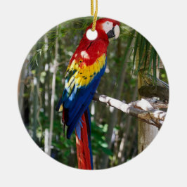 Adorno De Cerámica Stunlet Scarlet Macaw Parrot